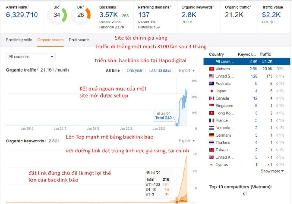 Backlink Report Export